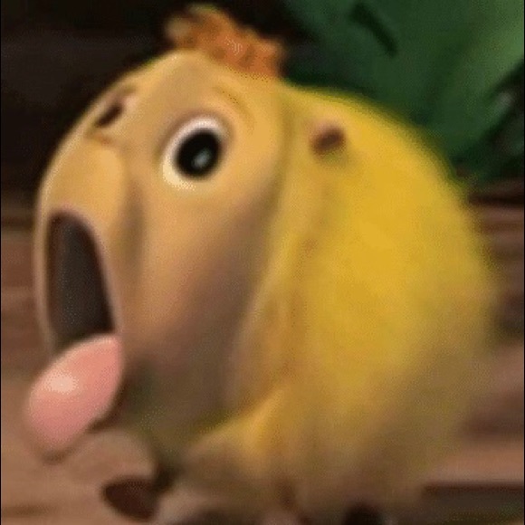 Meet your Posher, Daniel - Picture 1 of 1